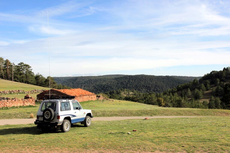 enelciervo01