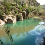 El Palmeral- Pedralba