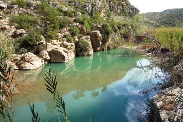 El Palmeral- Pedralba