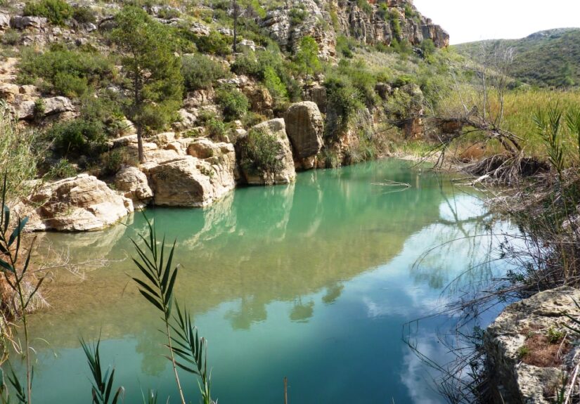 El Palmeral- Pedralba